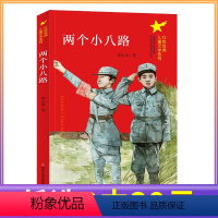 [正版]3本任选39元两个小八路 红色经典7-9-10-12岁儿童文学读物 三四五六年级阅读小学生课外书籍青少年故事南