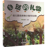 音像自然的礼物 幼儿园自然物小制作50例邬春芳
