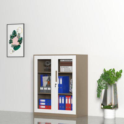 臻远文件柜办公柜钢制铁皮柜资料档案储物柜拆装窄边柜咖白色加厚款 1090对开玻柜