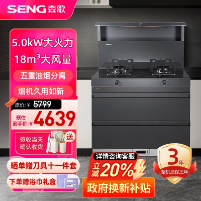 森歌(SENG)集成灶L1 消毒柜款 二星级消毒外观美 大容量 一体式吸烟机燃气灶具 抽油烟机燃气灶灰色液化气