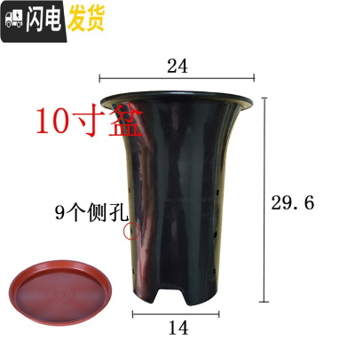 三维工匠园艺兰花盆塑料大中小号透气黑色带孔国兰君子兰墨兰花专用盆 10寸加红色托盘 同规格10个(送网套)花盆容器