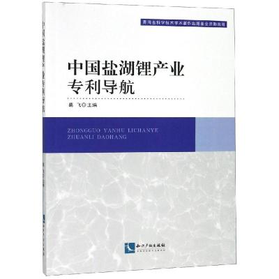 中国盐湖锂产业导航|葛飞|知识产权出版社|9787513058575