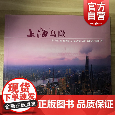 上海鸟瞰双语版 上海城市风景 自然风景夜景鸟瞰摄影图集 陆家嘴北外滩上海风光图片集 上海人民美术出版社