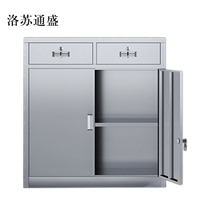 洛苏通盛文件柜不锈钢柜子储物柜资料柜档案柜带锁文件柜201二斗下节常规款