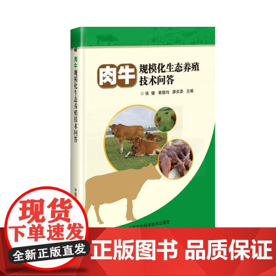 肉牛规模化生态养殖技术问答