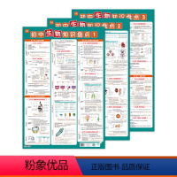初中生物知识盘点挂图(3张) [正版]初中生物知识盘点挂图知识点汇总海报梳理分类汇总生物实验墙画七八九年级