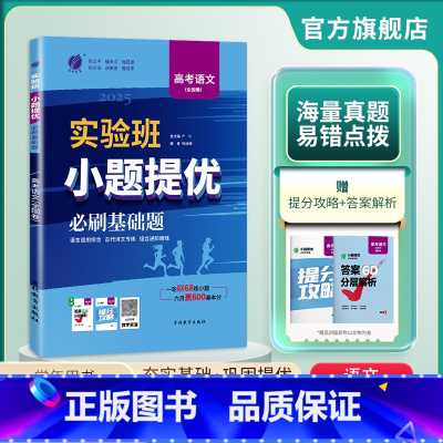 语文全国卷 高中三年级 [正版]备考2025新高考实验班小题提优高考语文必刷基础题 全国卷高考语文考前冲刺真题 全国卷语
