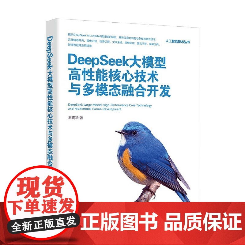 DeepSeek大模型高性能核心技术与多模态融合开发 王晓华 著 计算机与互联网