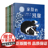 黄蓓佳倾情桥梁书系列 美绘注音版 6-8岁 亲爱的凯撒 天边的桃林 口袋里的宝物 月亮加油 我的爸爸是“宅男”