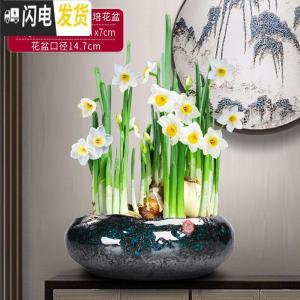 三维工匠新中式禅意铜钱水仙花专用水培花盆载植物好养创意陶瓷室内个 翡翠沧海桑田(小)水培花盆(不含水仙) 20-花盆容器