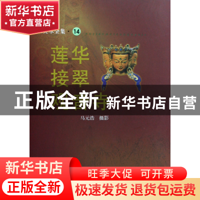 正版 莲华接翠观音寺/佛教美术全集 摄影:马元浩 文物 9787501025