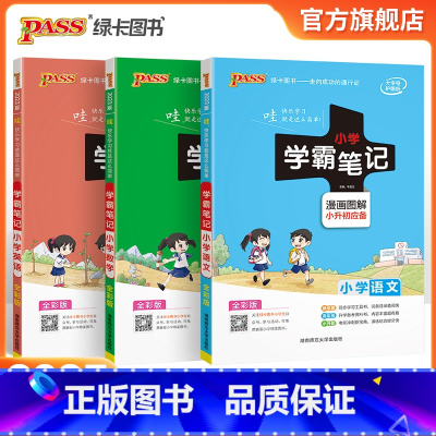 23版-小学语文学霸笔记 小学升初中 [正版]小学学霸笔记全套语文数学英语3本小学毕业升学总复习全解教辅资料书六年级小升