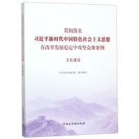 [N]贯彻落实习近平新时代中国特色社会主义思想在改革发展稳定中攻坚克难案例(文化建设)-9787509911754