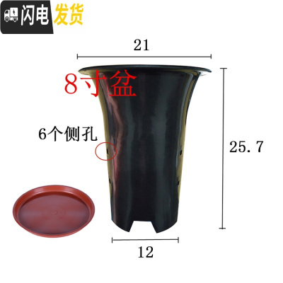 三维工匠园艺兰花盆塑料大中小号透气黑色带孔国兰君子兰墨兰花专用盆 8寸加红色托盘 同规格5个(送网套)花盆容器