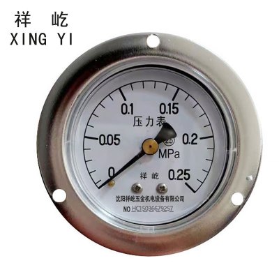 祥屹+轴向带边压力表检测定制型+Y60ZT+块