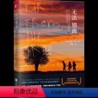 [正版]8成新无法别离 罗宾本韦 家庭教育亲子关系儿童成长亲情治愈故事 美国国家图书奖世界现当代经典西方青少年儿童文学