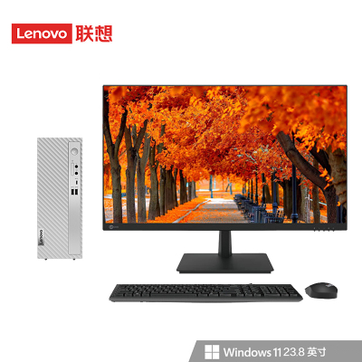  联想(Lenovo)天逸510Pro 台式机电脑整机 (i5-13400 32G 1T+512G SSD 键鼠 Win11Wifi+蓝牙)23.8英寸来酷显示器 商用家用学习 定制