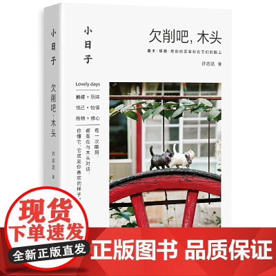 小日子:欠削吧,木头正版书籍