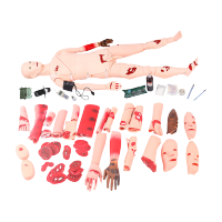 恒则卫勤 OF-G122S卫勤战救场地技术综合模拟人全功能四肢创伤血压护理创伤