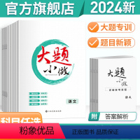 语文 新高考 [正版]2024版大题小做高考语文数学英语物理化学生物历史地理政治文理 高中高三高考第二轮总复习资料用书全