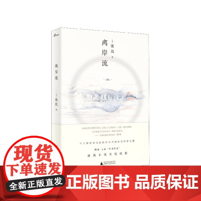 新民说 离岸流 凌岚 著 留学生 美国 华人文学 中年危机 广西师范大学出版社