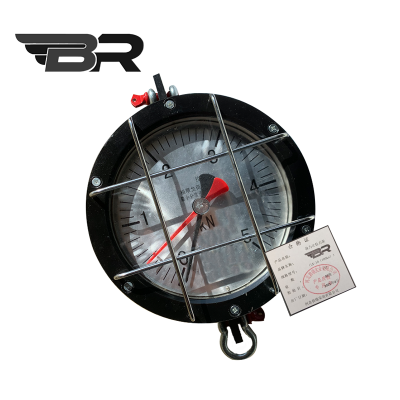 BR/拉力计拉力表/(LK-10(100kn))/台