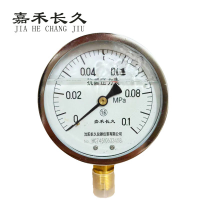 嘉禾长久+耐震压力表检测定制型+YTN100+块