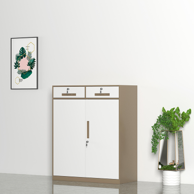 臻远文件柜办公柜钢制铁皮柜资料档案储物柜拆装窄边柜咖白色加厚款 二斗下节矮柜