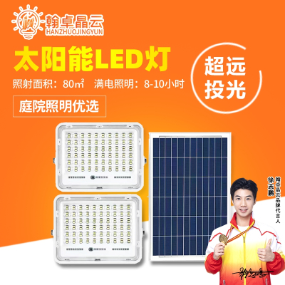 翰卓晶云 太阳能超亮室内外防水大功率LED照明路灯一拖二100W HZ-598S-039