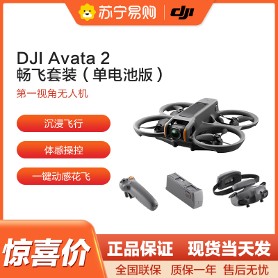 大疆DJI Avata 2 第一视角航拍无人机飞行眼镜体感操控沉浸式飞行体验一键动感花飞超广低空 畅飞套装(单电池版)