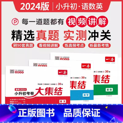 语+数+英 [套装3本-全国通用] [正版]备考2024小升初总复习试卷 一本小学毕业升学考卷大集结 语文数学英语小升初
