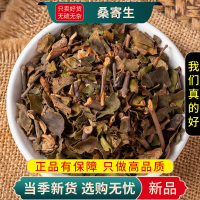 甄选桑寄生100克正品煮水泡茶松寄生干货无硫另售杜仲9260