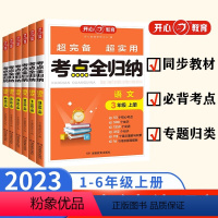 [语文]人教版 一年级上 [正版]2023新版小学语文考点知识全归纳人教版 一二三年级上册四五六年级上人教版同步练习册阅