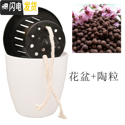 三维工匠懒人花盆自动吸水花盆绿萝用懒人盆特大水培自吸盆塑料吸水 盆+2升陶粒 m8[特大号2个]+m11[特花盆容器