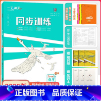 [同步训练]化学 人教版(RJ) 九年级下 [正版]2025春新天津专版同步训练九年级下册化学人教版化学课时作业单元期中