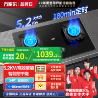 万家乐猛火燃气双灶AC7A家用智能防干烧左定嵌入式台嵌两用大面板煤气炉灶大火力全进风铜火盖可拆 [智能防干烧+左定时]