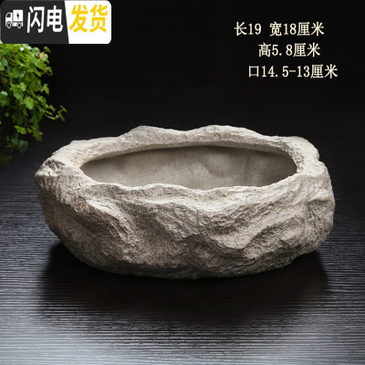 三维工匠水仙花铜钱水培花盆水养的仿石头盆景碗莲睡莲个性创意陶瓷无孔 F-石-20W 中等花盆容器