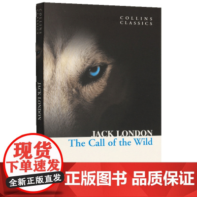 英文原版 The Call of the Wild 野性的呼唤 柯林斯经典文学小说书 Collins Classics