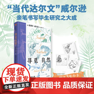 寻觅自然 从野性到人性 一位博物学家的沉思集 爱德华 威尔逊著 凝聚威尔逊数十年科学研究的精华 生物多样性 社会生物学创