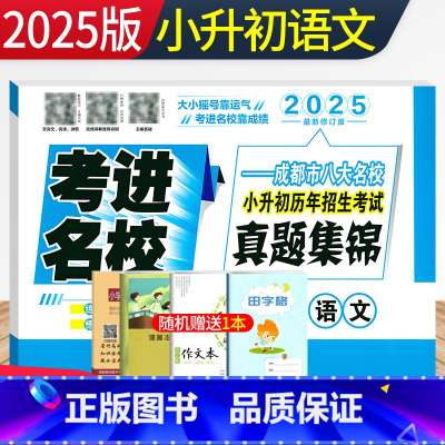 语文 [正版]2025版考进名校小升初真题卷语文 成都市八大名校小升初历年招生考试真题集锦 四川重点中学六年级小考总复习