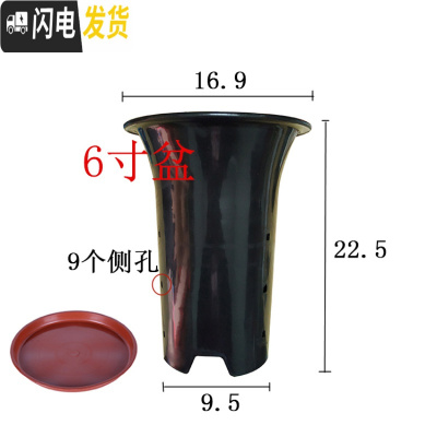 三维工匠园艺兰花盆塑料大中小号透气黑色带孔国兰君子兰墨兰花专用盆 6寸加红色托盘 同规格5个(送网套)花盆容器