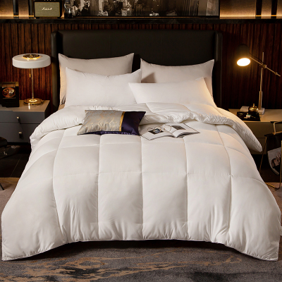 婵思 立体秋冬被加厚保暖被芯