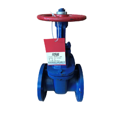 时速 铸铁明杆法兰闸阀 Z41T-16L DN100 个