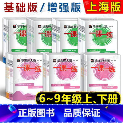 名校名卷 套装 九年级/初中三年级 [正版]2024华东师大版一课一练 上海名校名卷初中六七八九年级上下 语文数学英