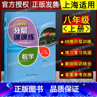 数学 [正版]新版学校分层课课练 数学 八年级第一学期/8年级上 含答案 上海版数学配套教辅 上海科技教育出版社
