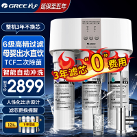 格力(GREE) 3年不换芯 净水器家用 纯水直饮反渗透WTE-PC16-5x608A纯水机 厨下式