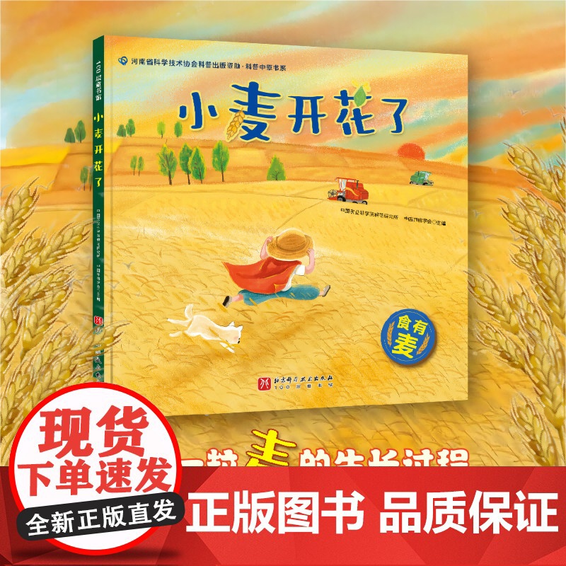 小麦开花了