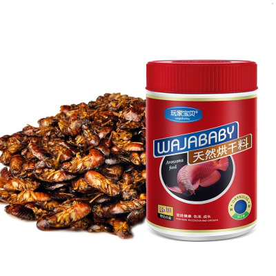 蟑螂干鱼饲料虫干龙鱼用多蛋白蟑螂干饲料发财银龙鱼饲料