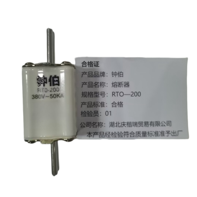 钟伯 熔断器 RTO-200 个