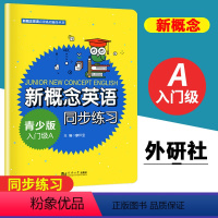 [正版]新概念英语同步练习青少版入门级A 新概念英语青少版入门级a同步练习 新概念英语入门级a语法精讲+同步练习廖怀宝